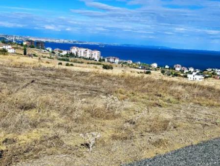 Opportunity Land Suitable For Building Your Detached House In Your Pregnant House For Urgent Sale In Tekirdag Barbarosta