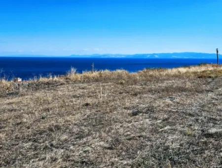 Opportunity Land Suitable For Building Your Detached House In Your Pregnant House For Urgent Sale In Tekirdag Barbarosta