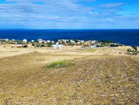 Opportunity Land Suitable For Building Your Detached House In Your Pregnant House For Urgent Sale In Tekirdag Barbarosta