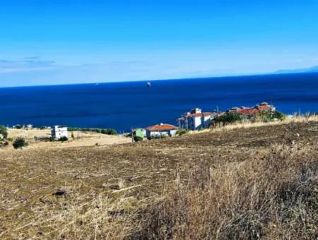 Opportunity Land Suitable For Building Your Detached House In Your Pregnant House For Urgent Sale In Tekirdag Barbarosta