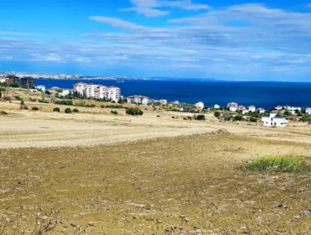 Opportunity Land Suitable For Building Your Detached House In Your Pregnant House For Urgent Sale In Tekirdag Barbarosta