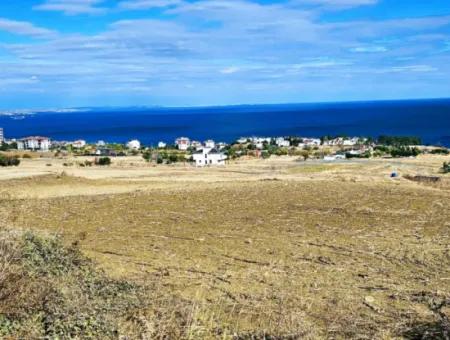 Opportunity Land Suitable For Building Your Detached House In Your Pregnant House For Urgent Sale In Tekirdag Barbarosta