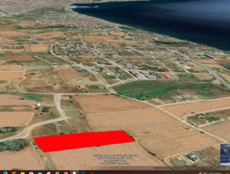 Suitable For Urgent Sale Cooperative And Site In Tekirdag Barbarosta. High Profit Guarantee To The Investor