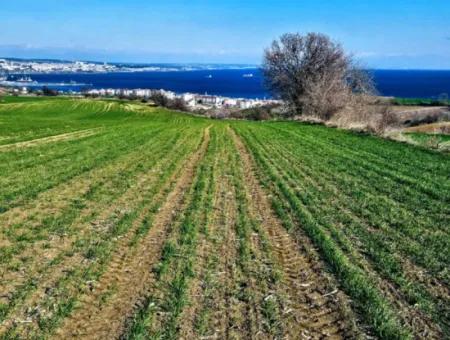 35.000 M2 Villa Zoned Land With Full Sea View For Urgent Sale In Tekirdag Barbarosta