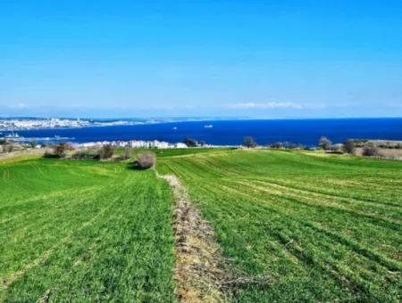 35.000 M2 Villa Zoned Land With Full Sea View For Urgent Sale In Tekirdag Barbarosta