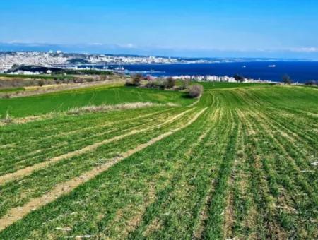 35.000 M2 Villa Zoned Land With Full Sea View For Urgent Sale In Tekirdag Barbarosta