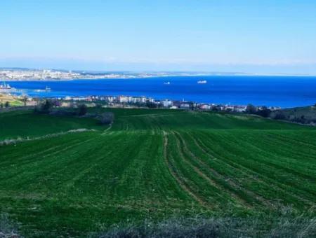 35.000 M2 Villa Zoned Land With Full Sea View For Urgent Sale In Tekirdag Barbarosta