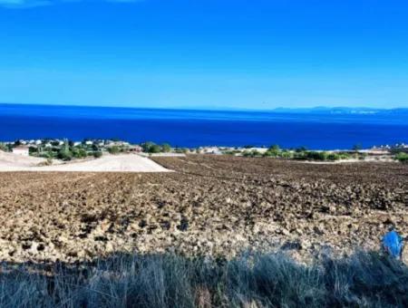 High Profit Guarantee For The Investor For Emergency Sale In Tekirdag Barbrosta 50 Flats Of Cooperative And Site Suitable Land For Construction