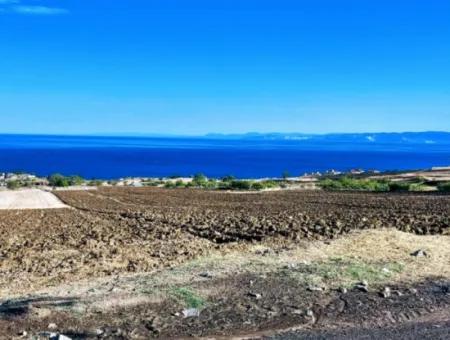 High Profit Guarantee For The Investor For Emergency Sale In Tekirdag Barbrosta 50 Flats Of Cooperative And Site Suitable Land For Construction