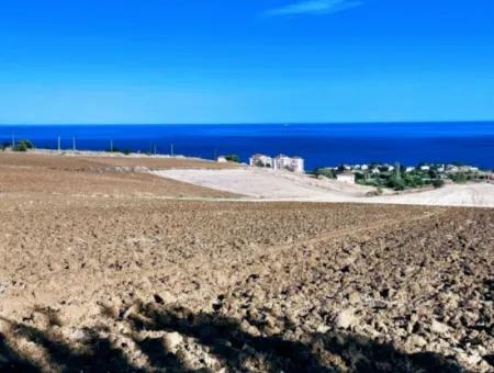 High Profit Guarantee For The Investor For Emergency Sale In Tekirdag Barbrosta 50 Flats Of Cooperative And Site Suitable Land For Construction