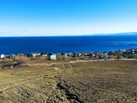 Residential Zoned Land With Full Sea View Suitable For The Construction Of A 42-Apartment Cooperative Site For Urgent Sale In Tekirdag Barbarosta