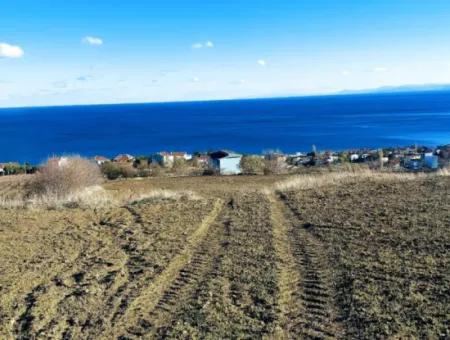 Residential Zoned Land With Full Sea View Suitable For The Construction Of A 42-Apartment Cooperative Site For Urgent Sale In Tekirdag Barbarosta