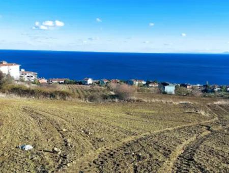 Residential Zoned Land With Full Sea View Suitable For The Construction Of A 42-Apartment Cooperative Site For Urgent Sale In Tekirdag Barbarosta