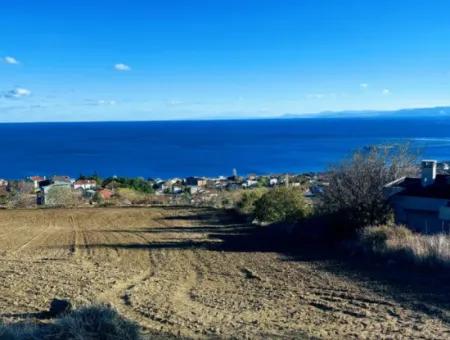 Residential Zoned Land With Full Sea View Suitable For The Construction Of A 42-Apartment Cooperative Site For Urgent Sale In Tekirdag Barbarosta