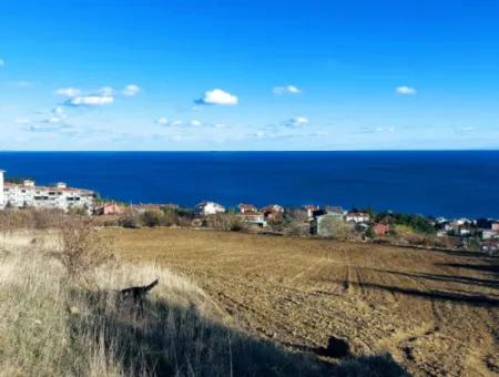 Residential Zoned Land With Full Sea View Suitable For The Construction Of A 42-Apartment Cooperative Site For Urgent Sale In Tekirdag Barbarosta