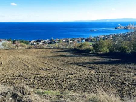 Residential Zoned Land With Full Sea View Suitable For The Construction Of A 42-Apartment Cooperative Site For Urgent Sale In Tekirdag Barbarosta