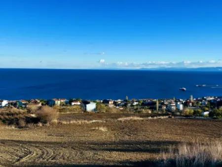 Residential Zoned Land With Full Sea View Suitable For The Construction Of A 42-Apartment Cooperative Site For Urgent Sale In Tekirdag Barbarosta