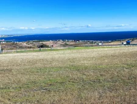 15.000 M2 Villa Zoned Land For Urgent Sale In Tekirdag Barbarosta