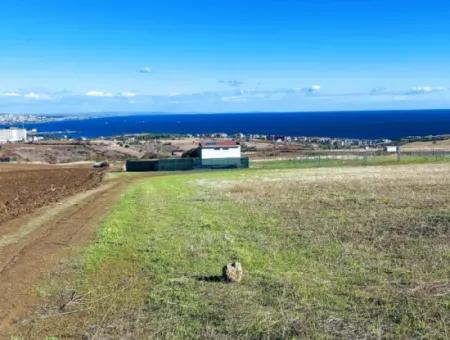 15.000 M2 Villa Zoned Land For Urgent Sale In Tekirdag Barbarosta