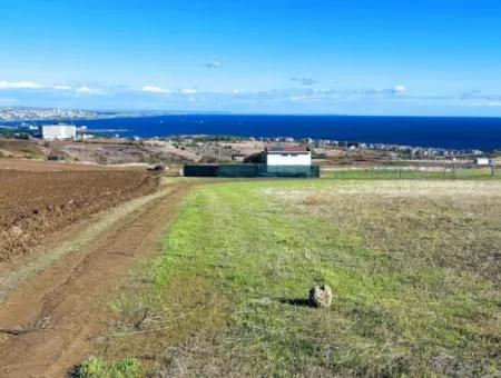 15.000 M2 Villa Zoned Land For Urgent Sale In Tekirdag Barbarosta