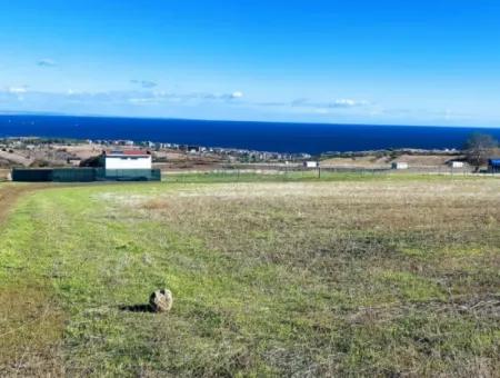 15.000 M2 Villa Zoned Land For Urgent Sale In Tekirdag Barbarosta