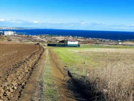 15.000 M2 Villa Zoned Land For Urgent Sale In Tekirdag Barbarosta