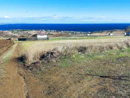 15.000 M2 Villa Zoned Land For Urgent Sale In Tekirdag Barbarosta