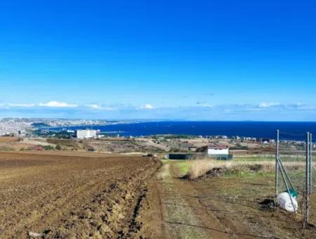 15.000 M2 Villa Zoned Land For Urgent Sale In Tekirdag Barbarosta