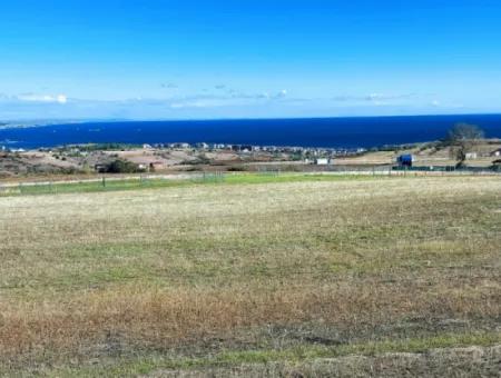 15.000 M2 Villa Zoned Land For Urgent Sale In Tekirdag Barbarosta