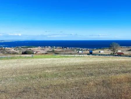 15.000 M2 Villa Zoned Land For Urgent Sale In Tekirdag Barbarosta