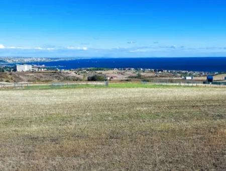 15.000 M2 Villa Zoned Land For Urgent Sale In Tekirdag Barbarosta