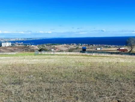 15.000 M2 Villa Zoned Land For Urgent Sale In Tekirdag Barbarosta