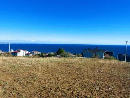 45 Flats Full Sea View Residential Zoned Land For Urgent Sale Tekirdag Barbarosta