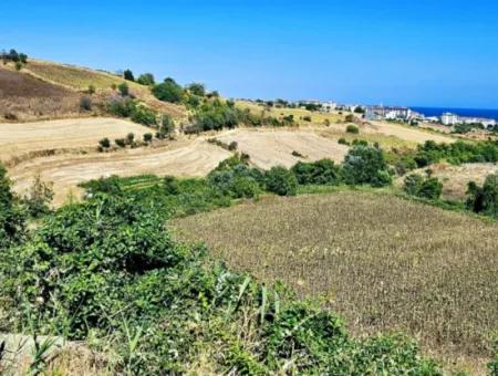 9.100 M2 Urgent Sale In Tekirdag Barbarosta Whether You Want To Make A Parcel Or Build A Villa High Profit Guarantee