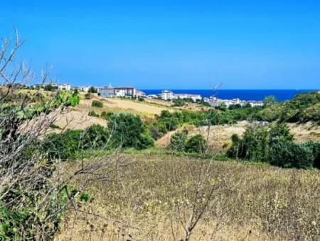 9.100 M2 Urgent Sale In Tekirdag Barbarosta Whether You Want To Make A Parcel Or Build A Villa High Profit Guarantee