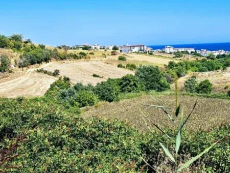 9.100 M2 Urgent Sale In Tekirdag Barbarosta Whether You Want To Make A Parcel Or Build A Villa High Profit Guarantee