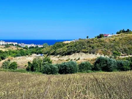 9.100 M2 Urgent Sale In Tekirdag Barbarosta Whether You Want To Make A Parcel Or Build A Villa High Profit Guarantee