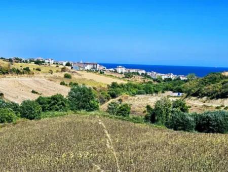 9.100 M2 Urgent Sale In Tekirdag Barbarosta Whether You Want To Make A Parcel Or Build A Villa High Profit Guarantee