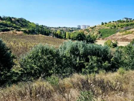 9.100 M2 Urgent Sale In Tekirdag Barbarosta Whether You Want To Make A Parcel Or Build A Villa High Profit Guarantee