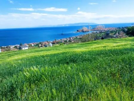 Tekirdag Barbarosta 42 Flats For Urgent Sale Cooperative And Suitable Place For Site Construction