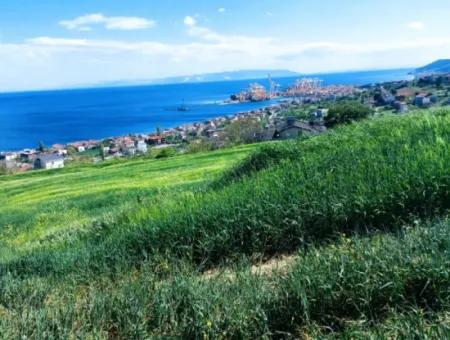 Tekirdag Barbarosta 42 Flats For Urgent Sale Cooperative And Suitable Place For Site Construction