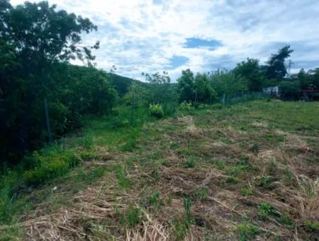 2.820 M2 Coupon Place Suitable To Put Tiny House In Nature For Urgent Sale In Tekirdağ Avşar Neighborhood