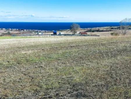 Urgent Sale In Barbarosta, Tekirdag, 15.000 M2 Villa Zoned Field!