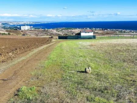 Urgent Sale In Barbarosta, Tekirdag, 15.000 M2 Villa Zoned Field!