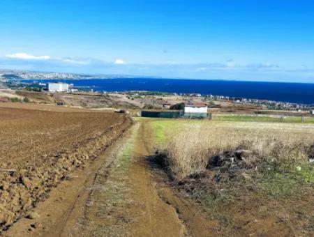 Urgent Sale In Barbarosta, Tekirdag, 15.000 M2 Villa Zoned Field!