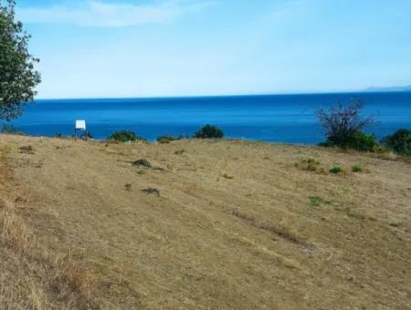 Coupon Land For Urgent Sale Suitable For Building Your Detached House With Wonderful Sea View In Tekirdag Barbarosta