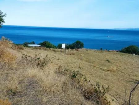 Coupon Land For Urgent Sale Suitable For Building Your Detached House With Wonderful Sea View In Tekirdag Barbarosta