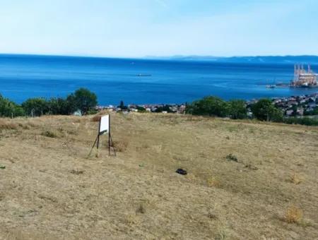 Coupon Land For Urgent Sale Suitable For Building Your Detached House With Wonderful Sea View In Tekirdag Barbarosta