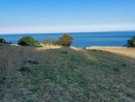 Coupon Land For Urgent Sale Suitable For Building Your Detached House With Wonderful Sea View In Tekirdag Barbarosta