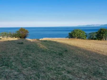 Coupon Land For Urgent Sale Suitable For Building Your Detached House With Wonderful Sea View In Tekirdag Barbarosta